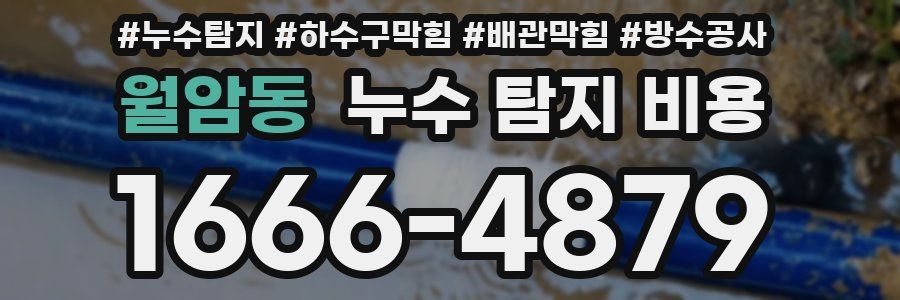 월암동 누수 탐지 비용