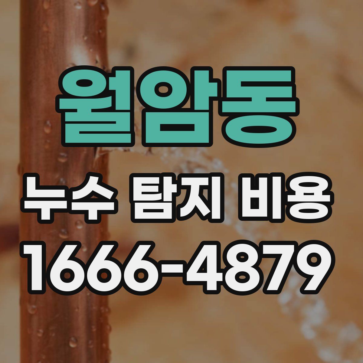 월암동 누수 탐지 비용