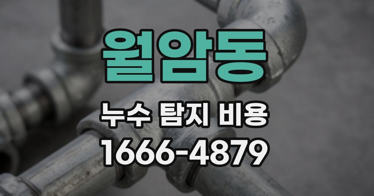 월암동 누수 탐지 비용