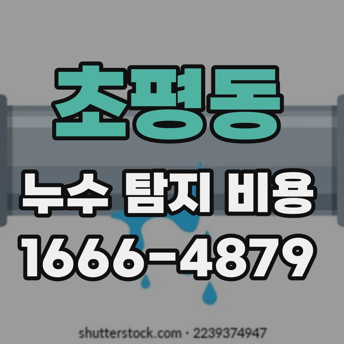 초평동 누수 탐지 비용