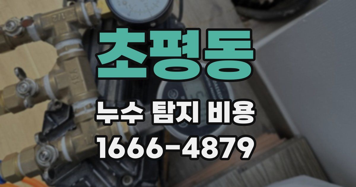 초평동 누수 탐지 비용