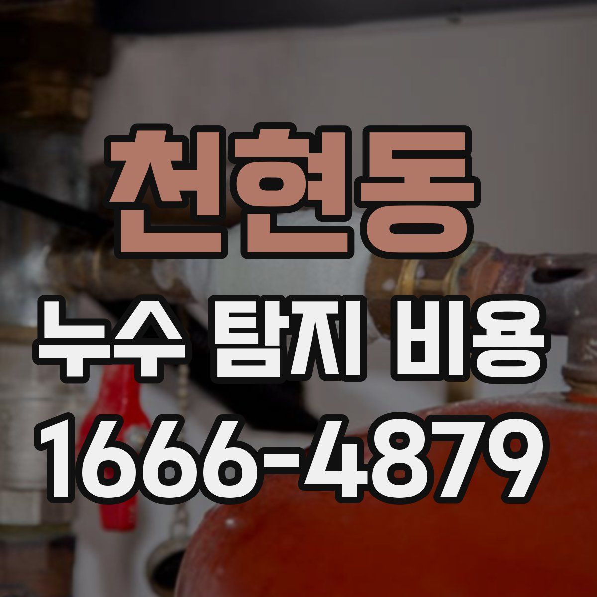 천현동 누수 탐지 비용