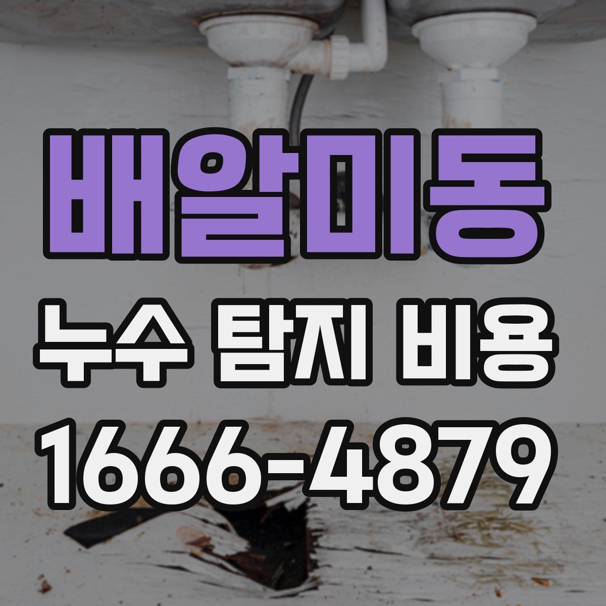 배알미동 누수 탐지 비용