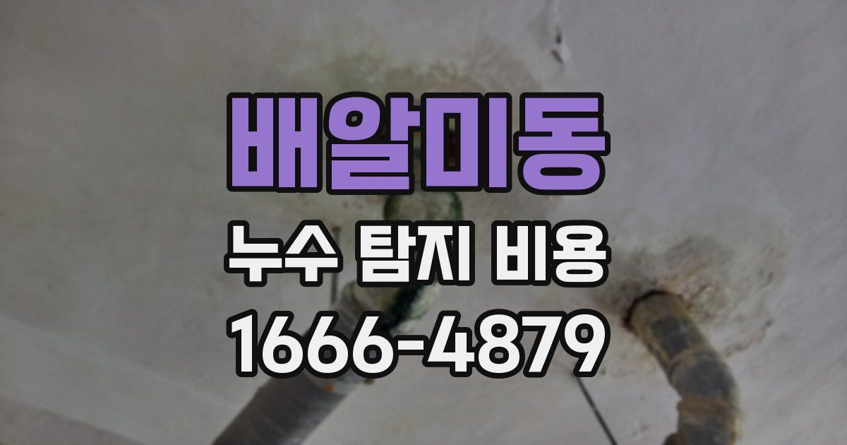 배알미동 누수 탐지 비용