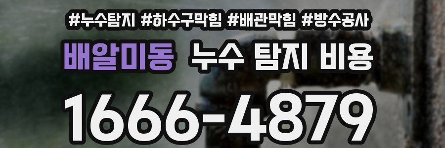 배알미동 누수 탐지 비용
