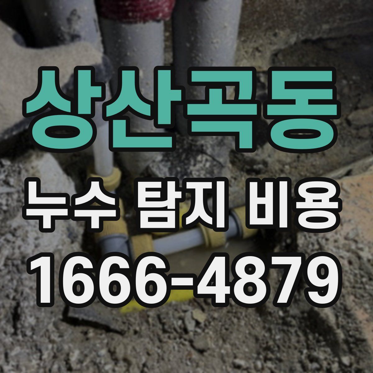 상산곡동 누수 탐지 비용