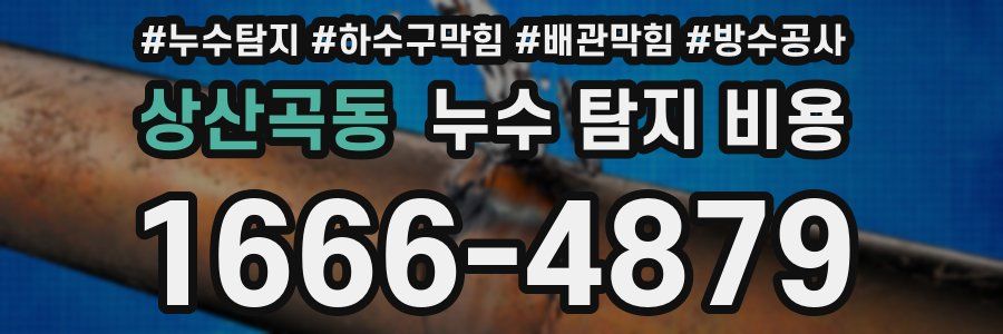 상산곡동 누수 탐지 비용