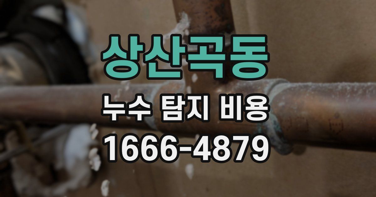상산곡동 누수 탐지 비용
