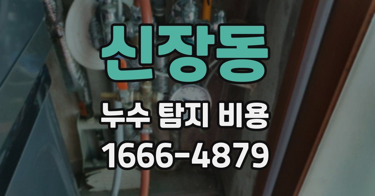 신장동 누수 탐지 비용