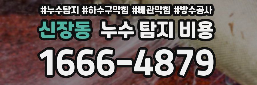 신장동 누수 탐지 비용