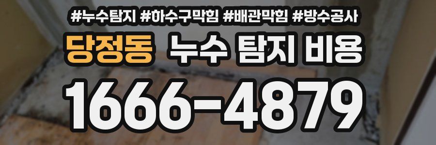 당정동 누수 탐지 비용