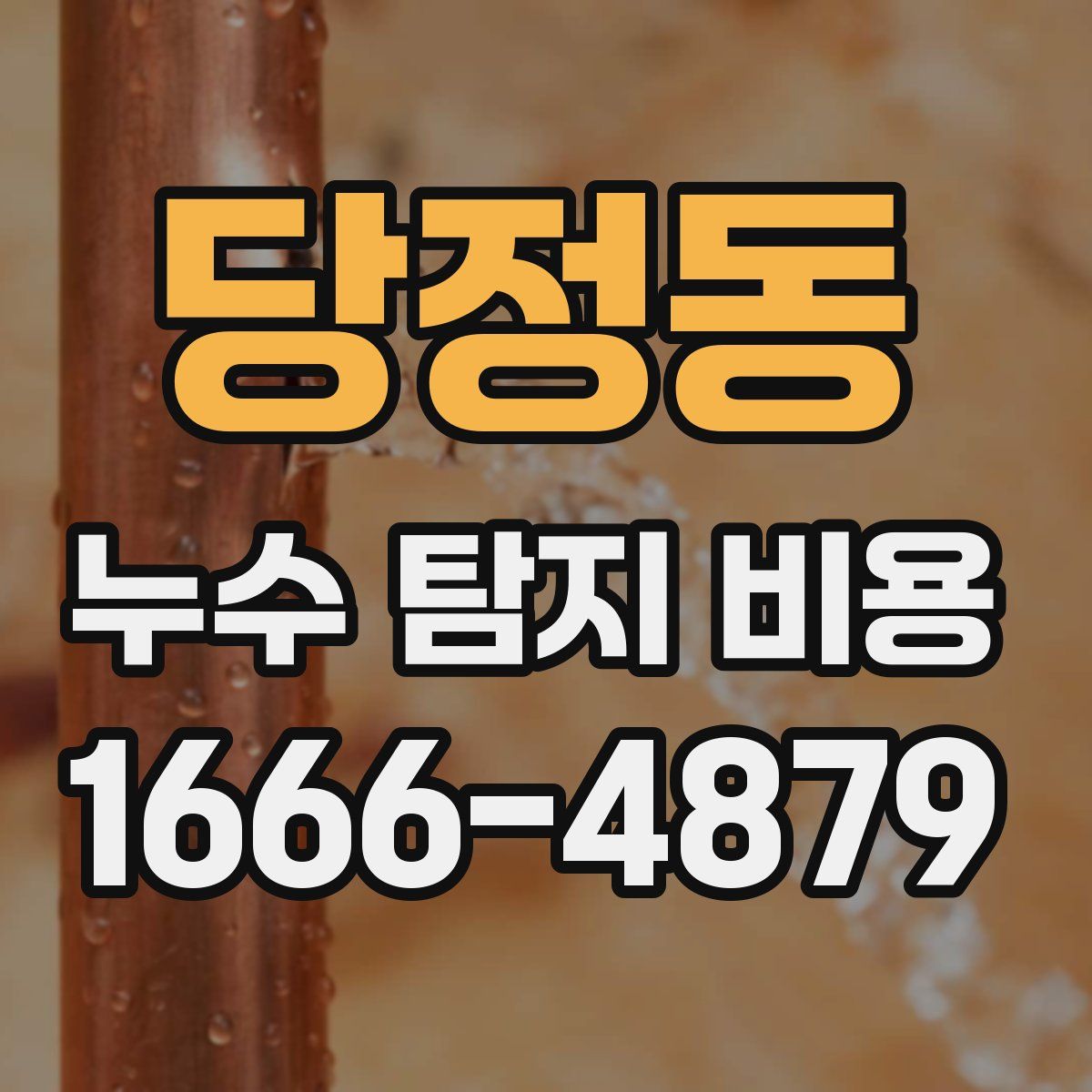 당정동 누수 탐지 비용