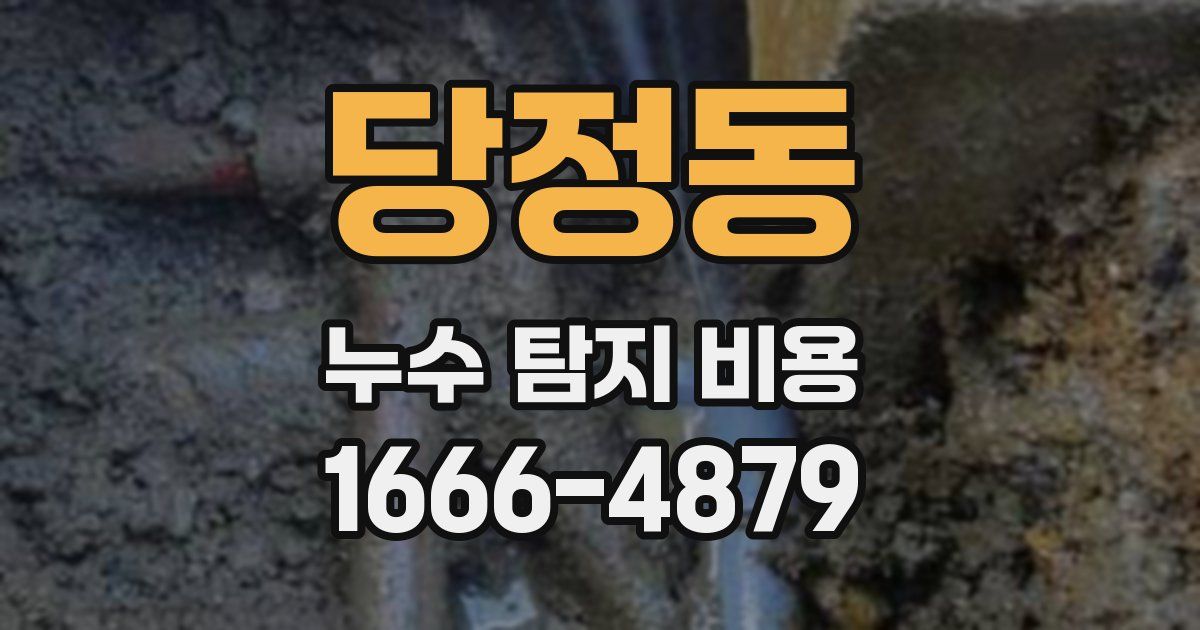 당정동 누수 탐지 비용