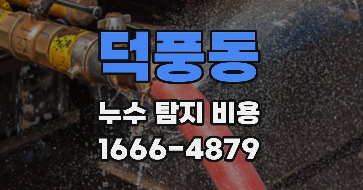 덕풍동 누수 탐지 비용