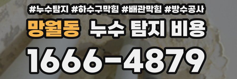 망월동 누수 탐지 비용