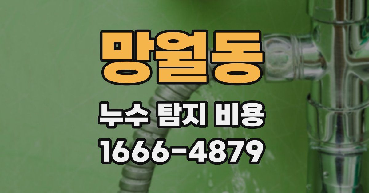 망월동 누수 탐지 비용