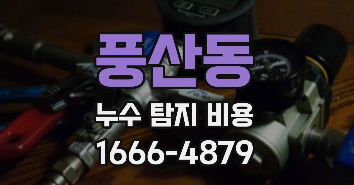 풍산동 누수 탐지 비용