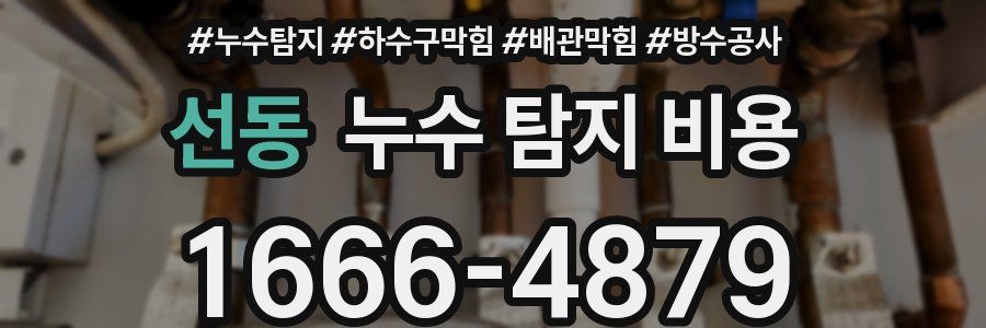 선동 누수 탐지 비용