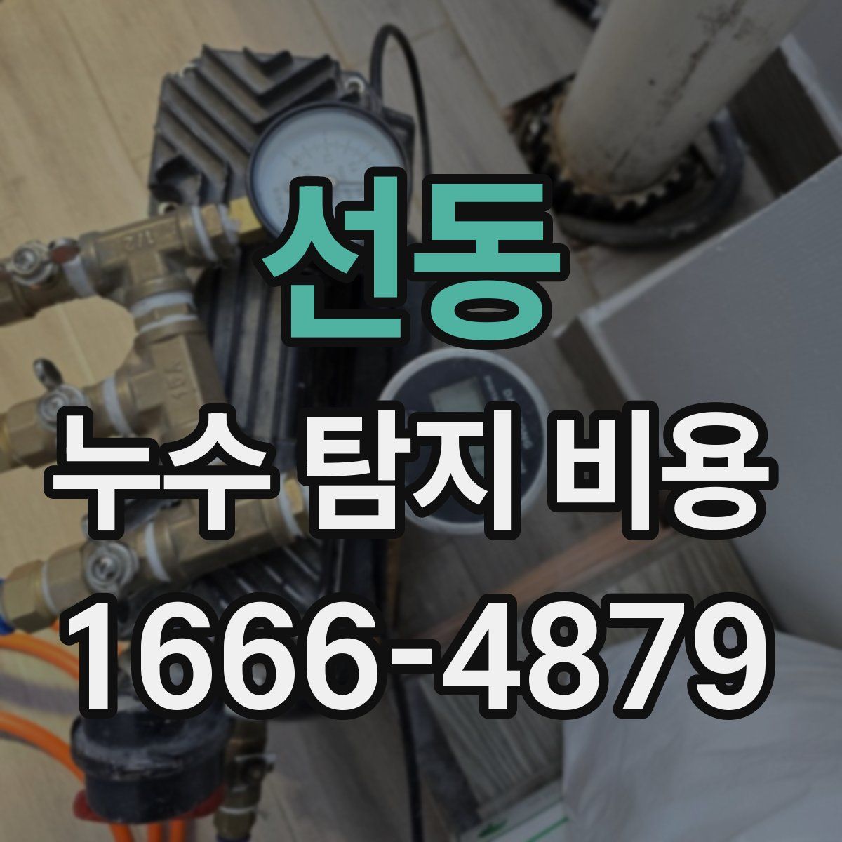 선동 누수 탐지 비용