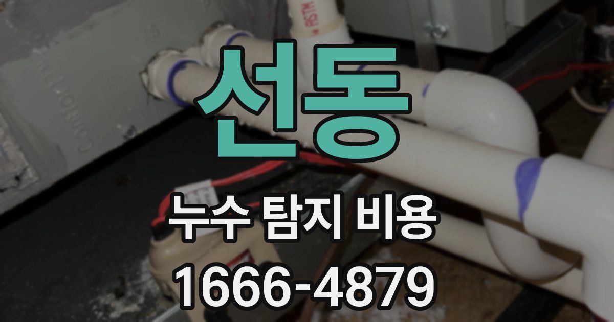 선동 누수 탐지 비용