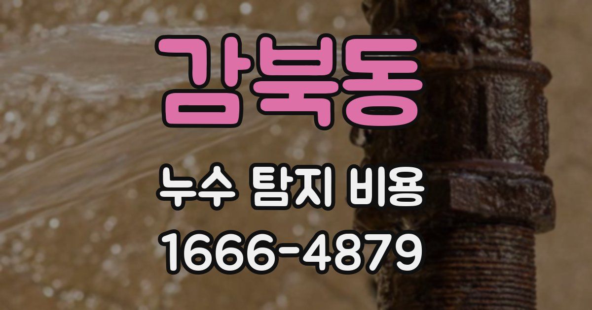 감북동 누수 탐지 비용