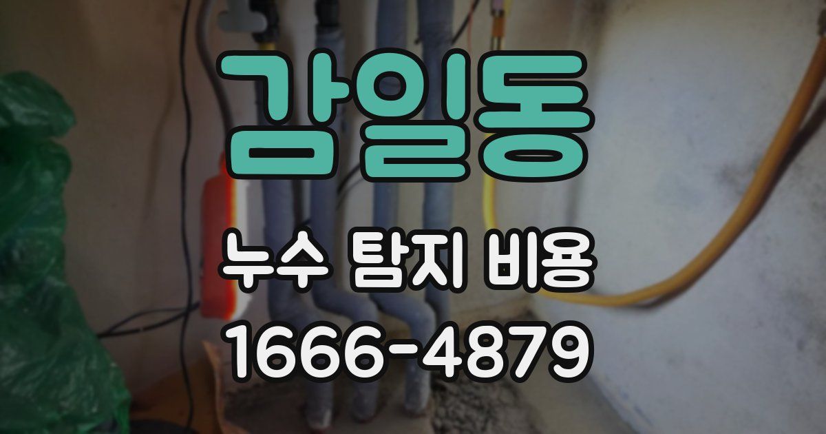 감일동 누수 탐지 비용