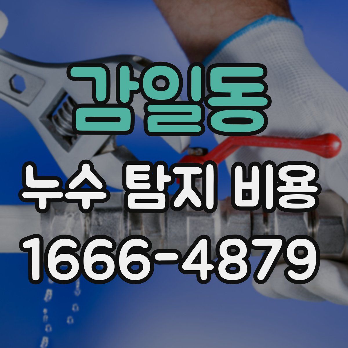 감일동 누수 탐지 비용