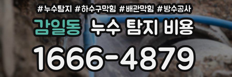 감일동 누수 탐지 비용