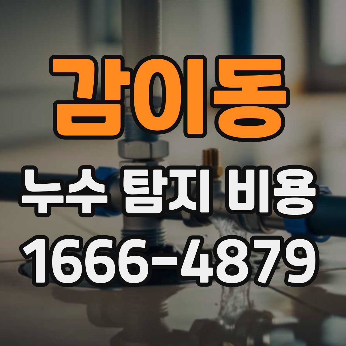 감이동 누수 탐지 비용
