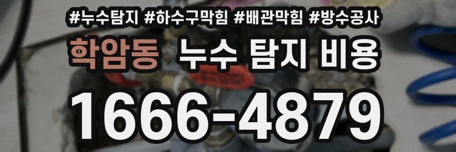 학암동 누수 탐지 비용
