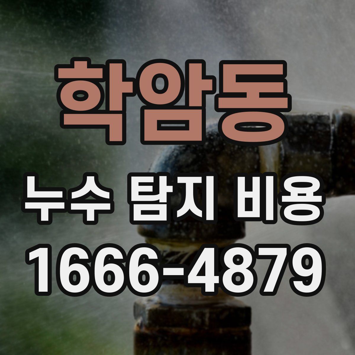 학암동 누수 탐지 비용