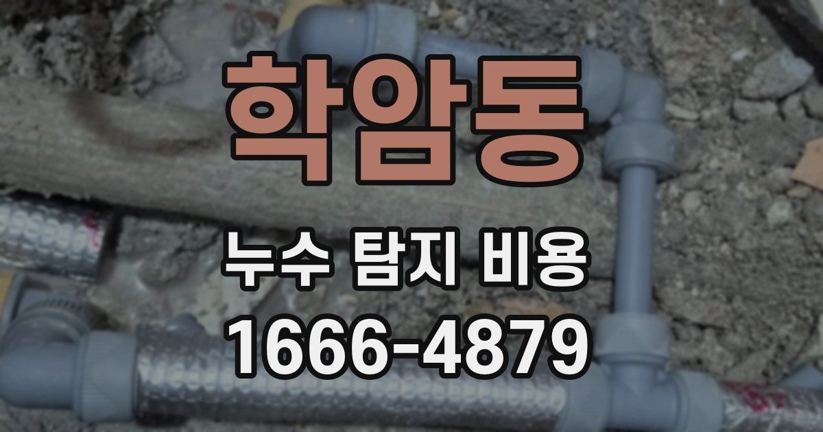 학암동 누수 탐지 비용