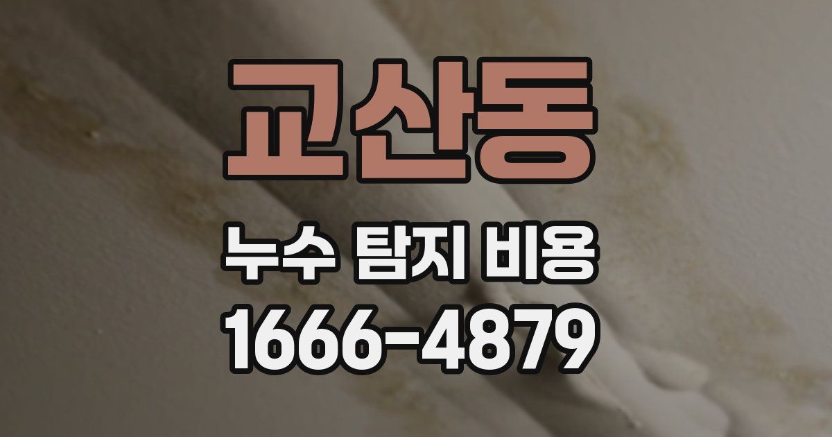 교산동 누수 탐지 비용