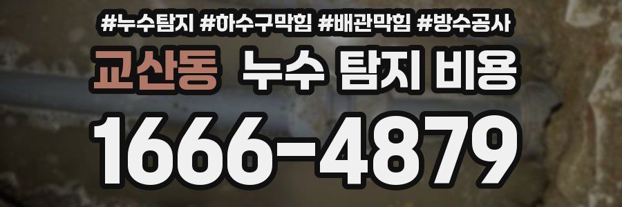 교산동 누수 탐지 비용