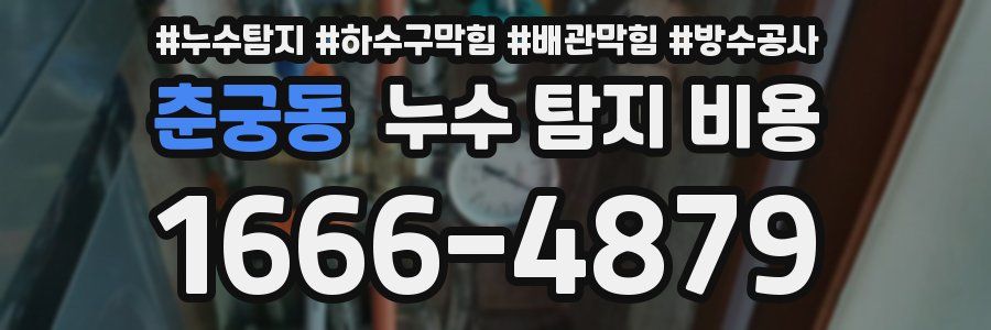 춘궁동 누수 탐지 비용