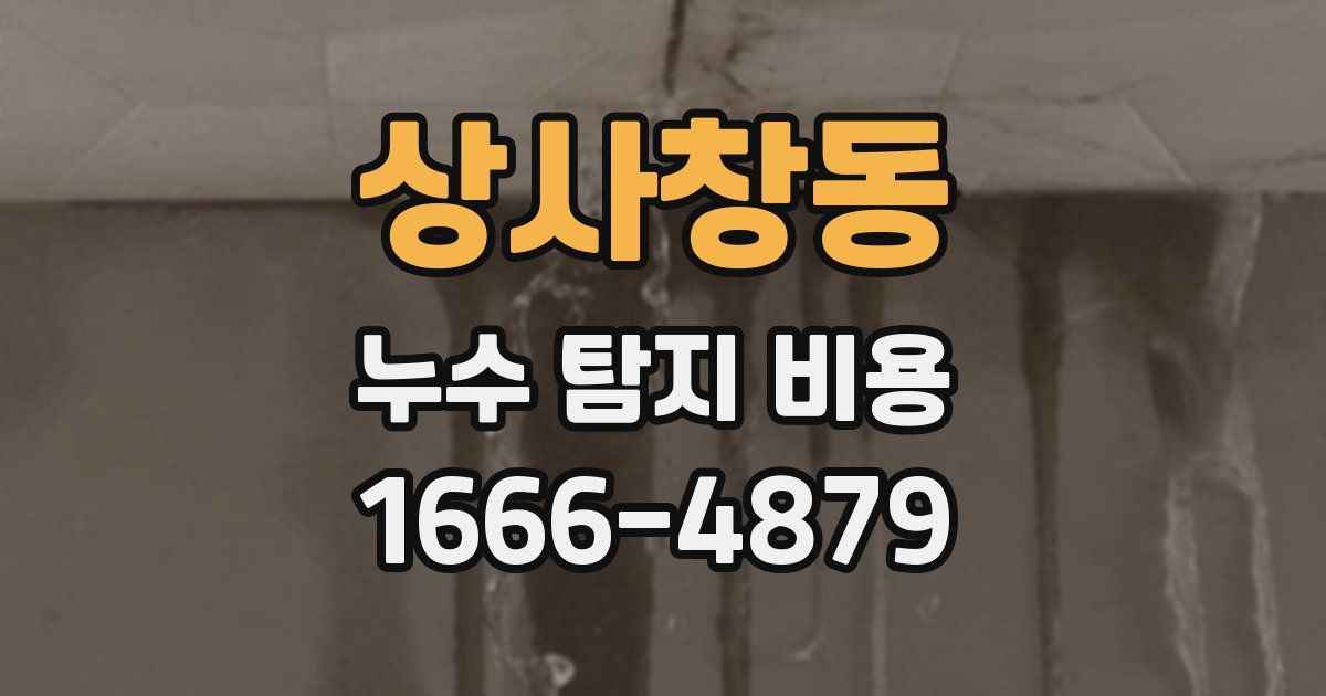 상사창동 누수 탐지 비용