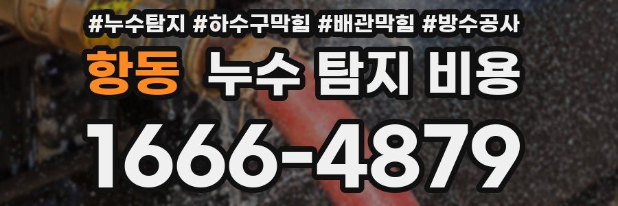 항동 누수 탐지 비용