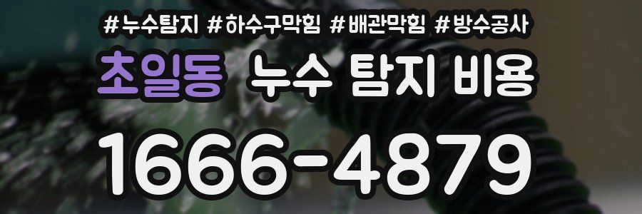 초일동 누수 탐지 비용