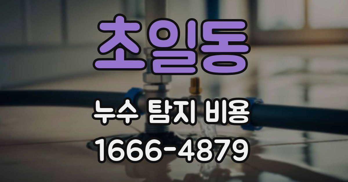 초일동 누수 탐지 비용