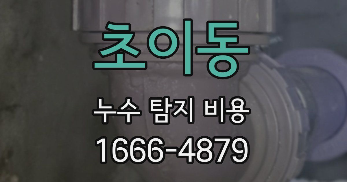 초이동 누수 탐지 비용