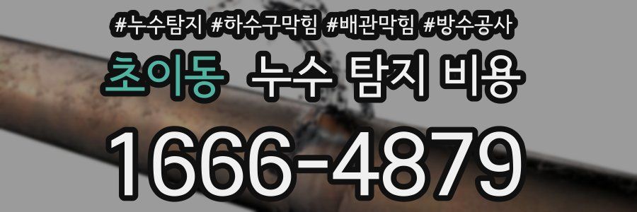 초이동 누수 탐지 비용