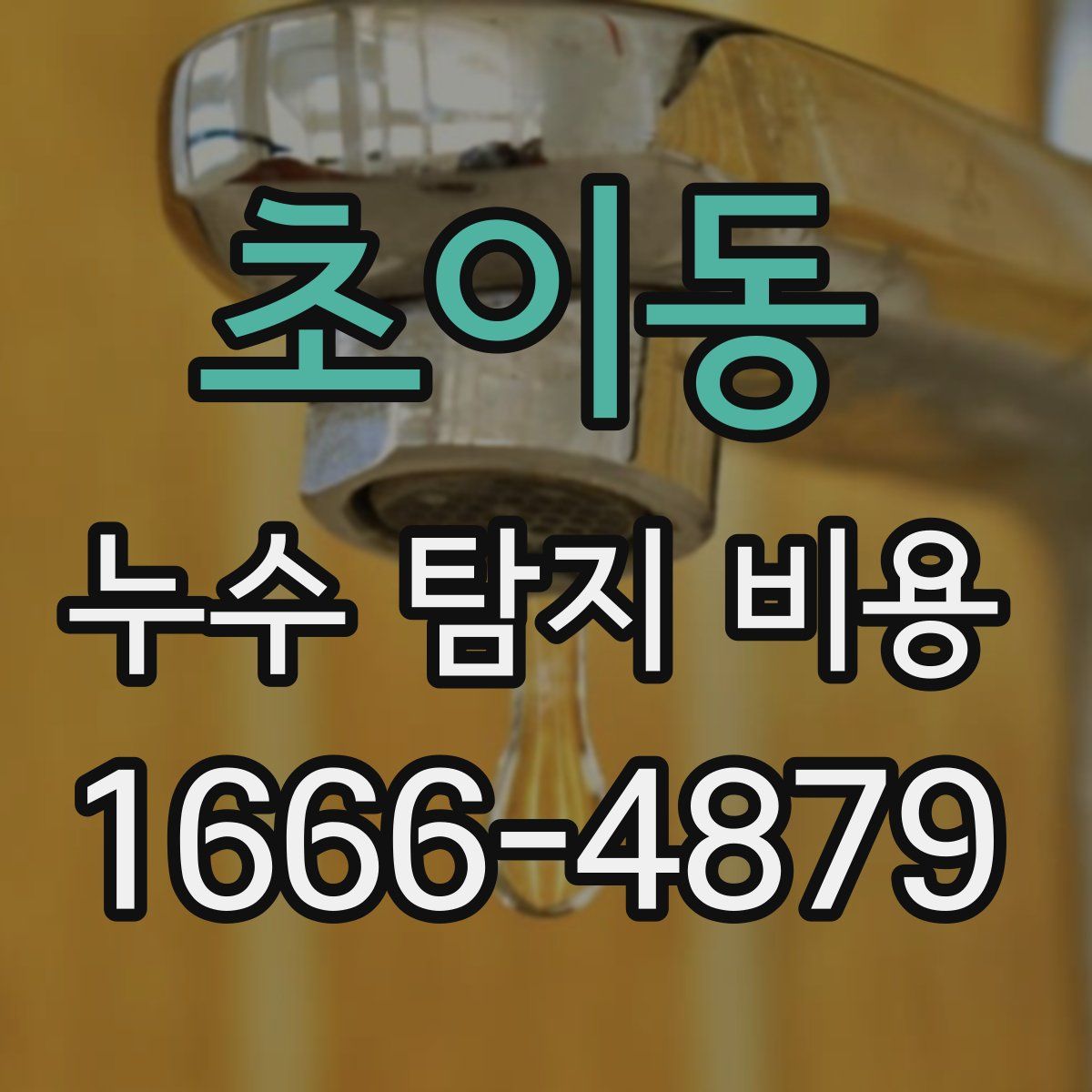 초이동 누수 탐지 비용