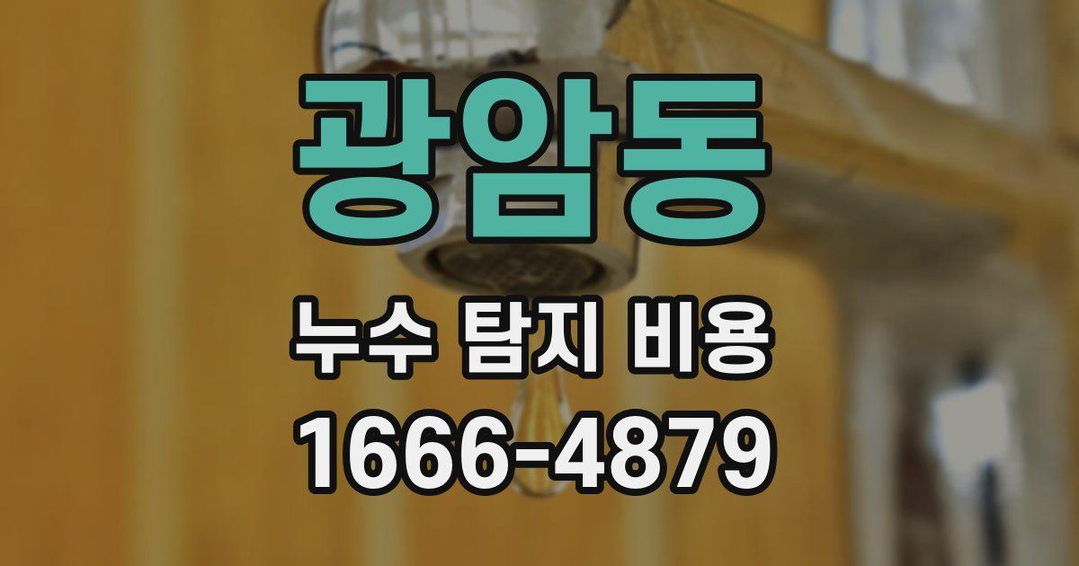 광암동 누수 탐지 비용