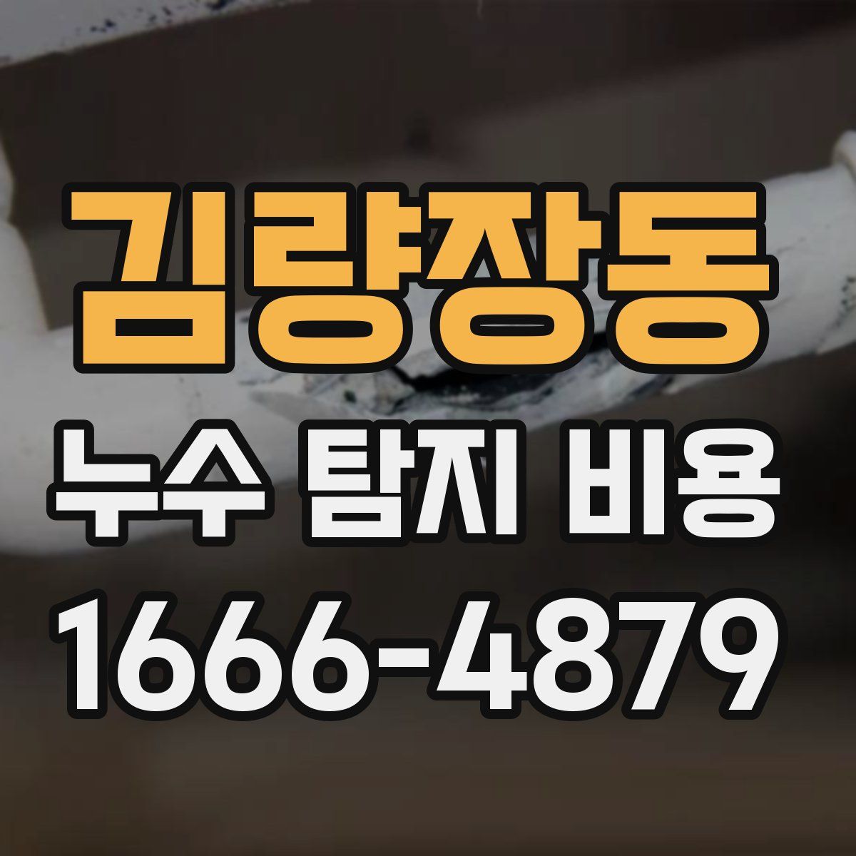 김량장동 누수 탐지 비용