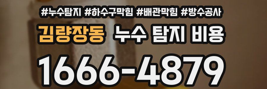김량장동 누수 탐지 비용