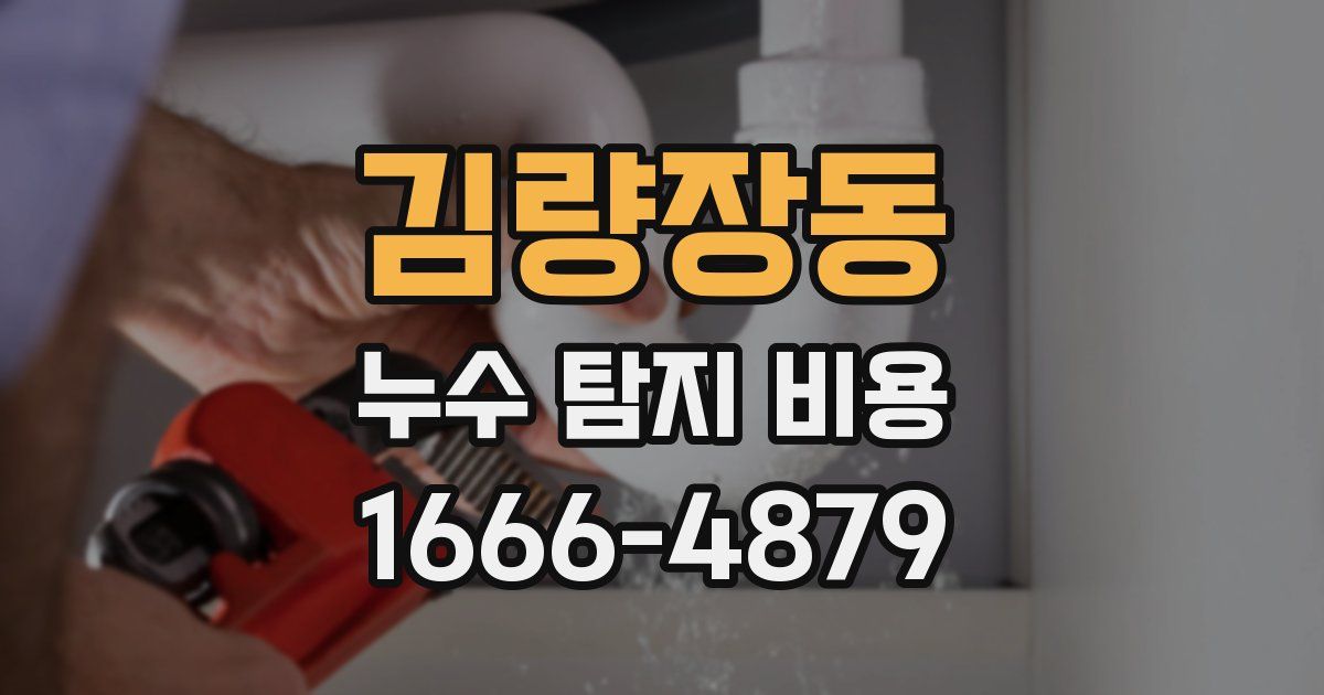 김량장동 누수 탐지 비용