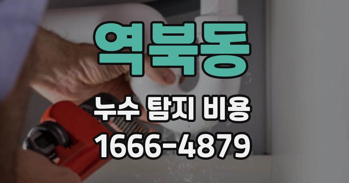 역북동 누수 탐지 비용
