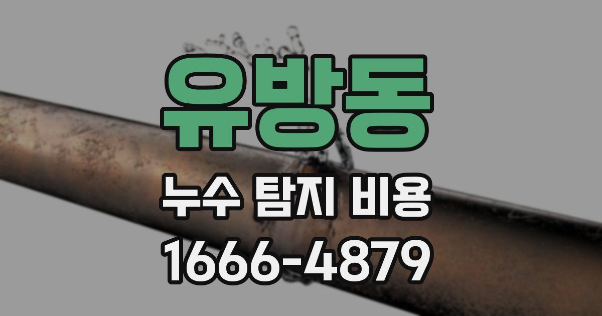 유방동 누수 탐지 비용