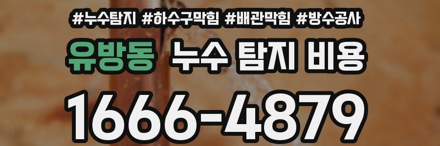 유방동 누수 탐지 비용