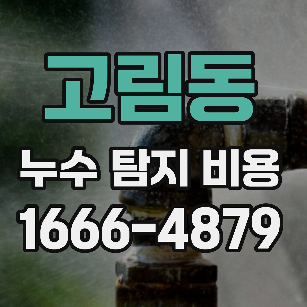고림동 누수 탐지 비용
